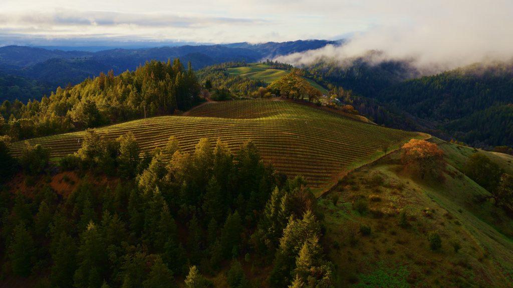 Die offiziellen macOS Sonoma Wallpaper als Download + 5 Bonus Hintergrundbilder Die offiziellen macOS Sonoma Wallpaper als Download + 5 Bonus Hintergrundbilder