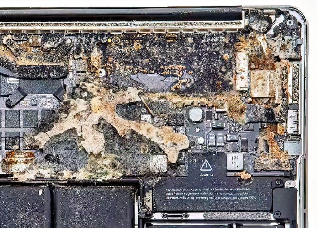 Schimmel im MacBook: Gründe und Tipps zum Vorbeugen Schimmel im MacBook: Gründe und Tipps zum Vorbeugen