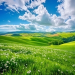 AI Sonoma Hills Wallpaper