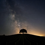 AI Sonoma Morning Wallpaper