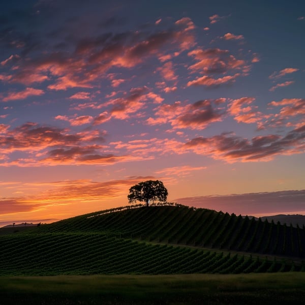 Bonus Sonoma wallpaper 3