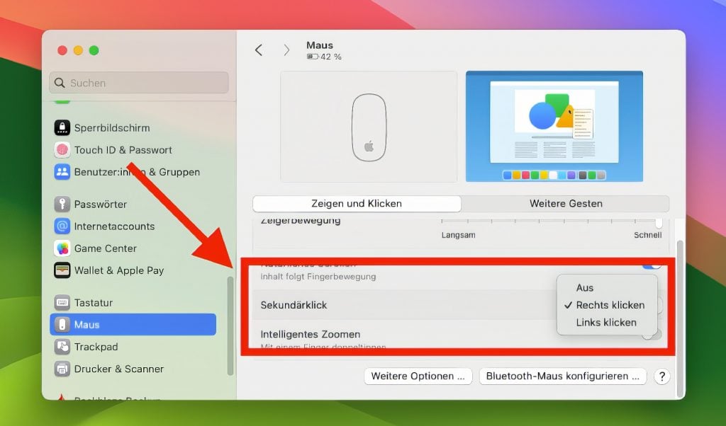 Einstellungsmöglichkeiten für die Maus unter macOS